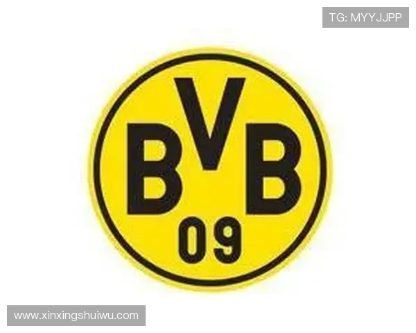 普鲁士多特蒙德俱乐部百年荣耀与德国足球文化传承探索