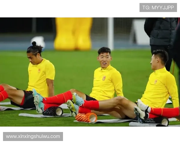 中国足球队备战世界杯预选赛 新一轮集训启动目标全力冲击世界杯入场券