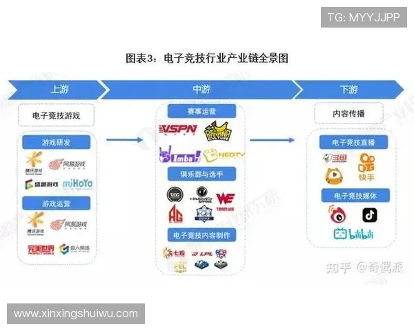 《全球电竞产业快速发展 中国电竞市场逐步崭露头角引关注》 《全球电竞产业快速发展 中国电竞市场逐步崭露头角引关注》