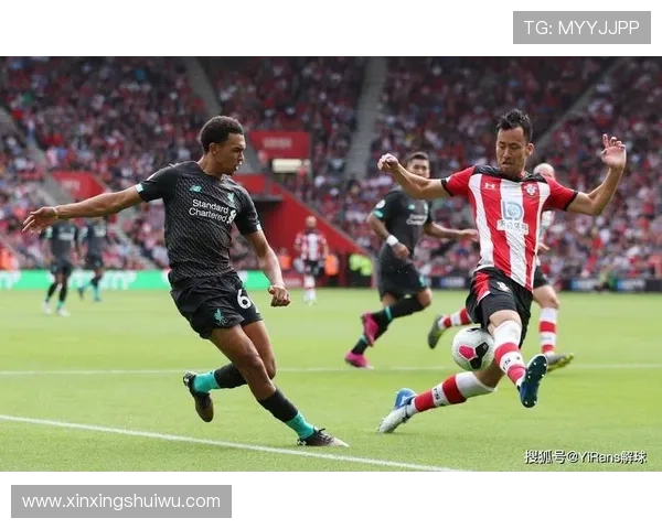 南安普顿俱乐部豪取连胜再掀英冠风暴全队士气高涨誓重返英超 南安普顿俱乐部豪取连胜再掀英冠风暴全队士气高涨誓重返英超