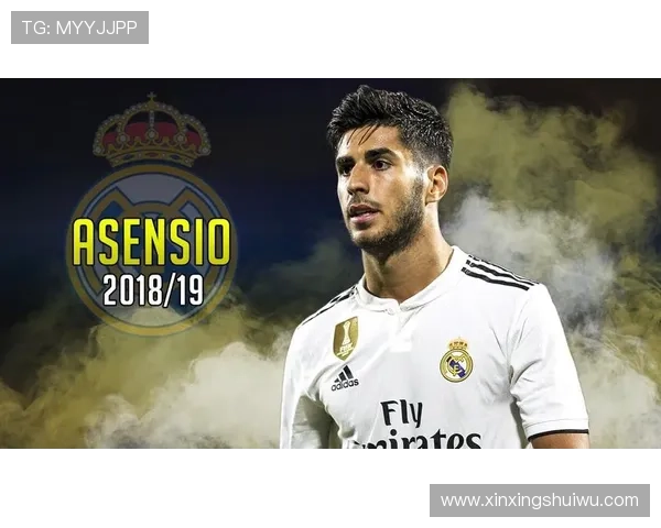 斯旺西俱乐部最新动态解析：球队阵容调整与未来发展方向探讨