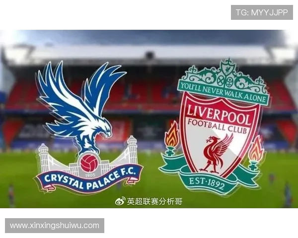 水晶宫俱乐部历程与未来展望：从英超生存斗士到全球足球新兴力量