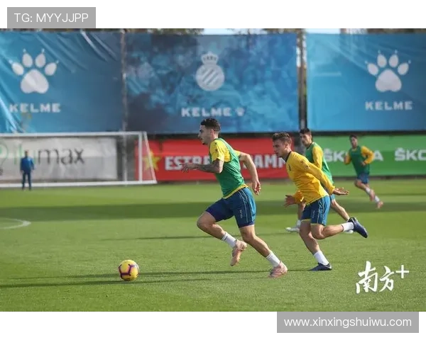 西班牙人俱乐部崛起之路探秘球队文化传承与未来发展愿景 西班牙人俱乐部崛起之路探秘球队文化传承与未来发展愿景