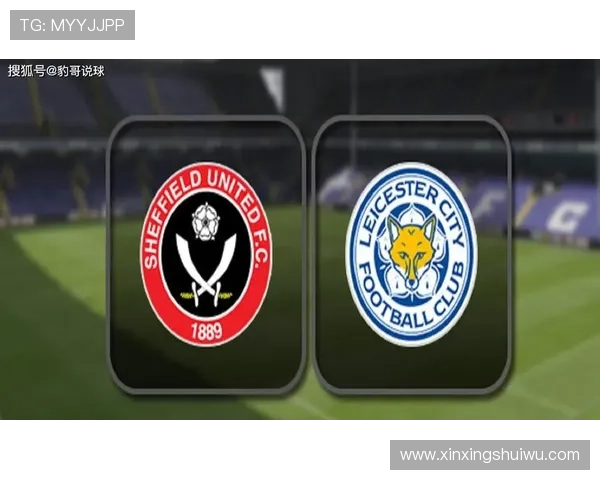 谢菲尔德联队辉煌历程与现代足球发展影响力分析 谢菲尔德联队辉煌历程与现代足球发展影响力分析