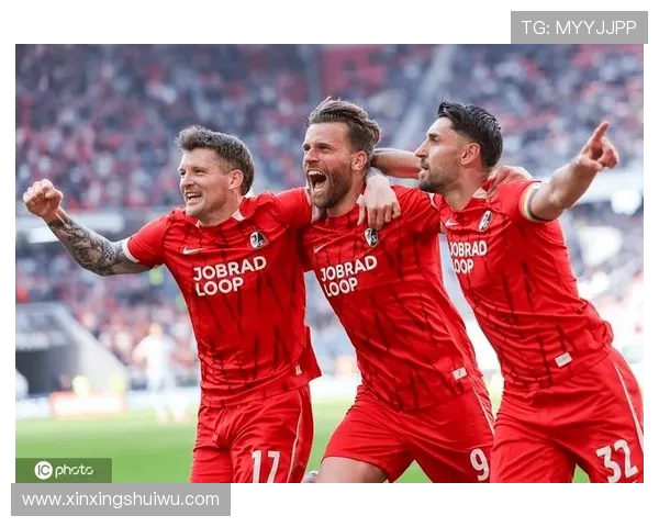 弗赖堡足球俱乐部：德国足球的坚韧之师与年轻才俊的摇篮