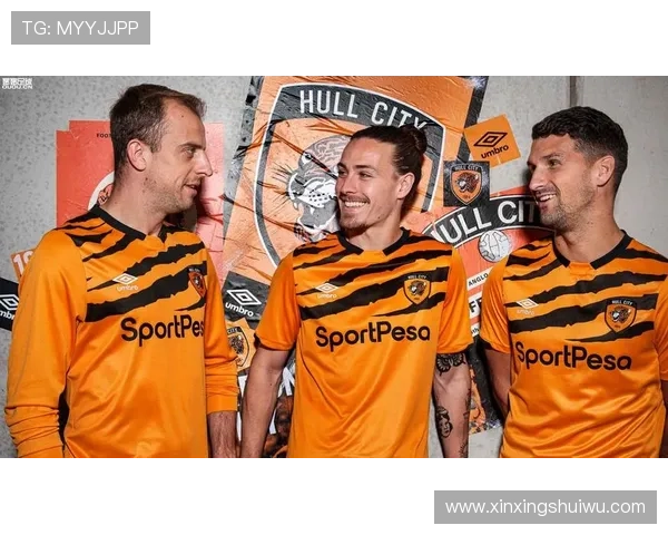 赫尔城俱乐部崛起之路从英格兰足球低级别联赛到顶级赛场的奋斗史